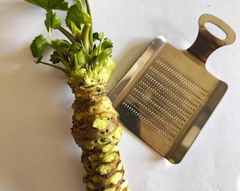 Rizoma de wasabi japonés fresco (Wasabia japonica) S–XXL 30–150 g + Rallador de acero inoxidable • Kit de sushi y gourmet