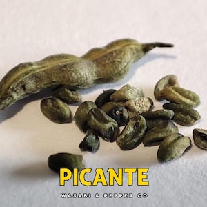 Könnte beinhalten: Nahaufnahme einer getrockneten grünen Pfefferschote und mehrerer grüner Samen auf weißem Untergrund. Der Text "PICANTE" in Gelb steht unten, darunter "WASABI & PEPPER CO".