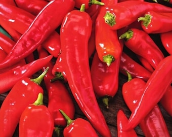 Soliman Sweet Pepper Seeds – Early Triangular Variety (10+ Seeds)
