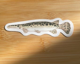 Alligator Gar Fish Stickers, Weatherproof Vinyl Stickers
