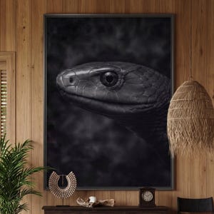 Op de afbeelding: Een ingelijste muurkunstprint met een gedetailleerde, monochrome close-up van een slangenkop. Het reptiel is afgebeeld in zwart- en grijstinten, waarbij de ingewikkelde textuur van de schubben en een scherp oog worden benadrukt.