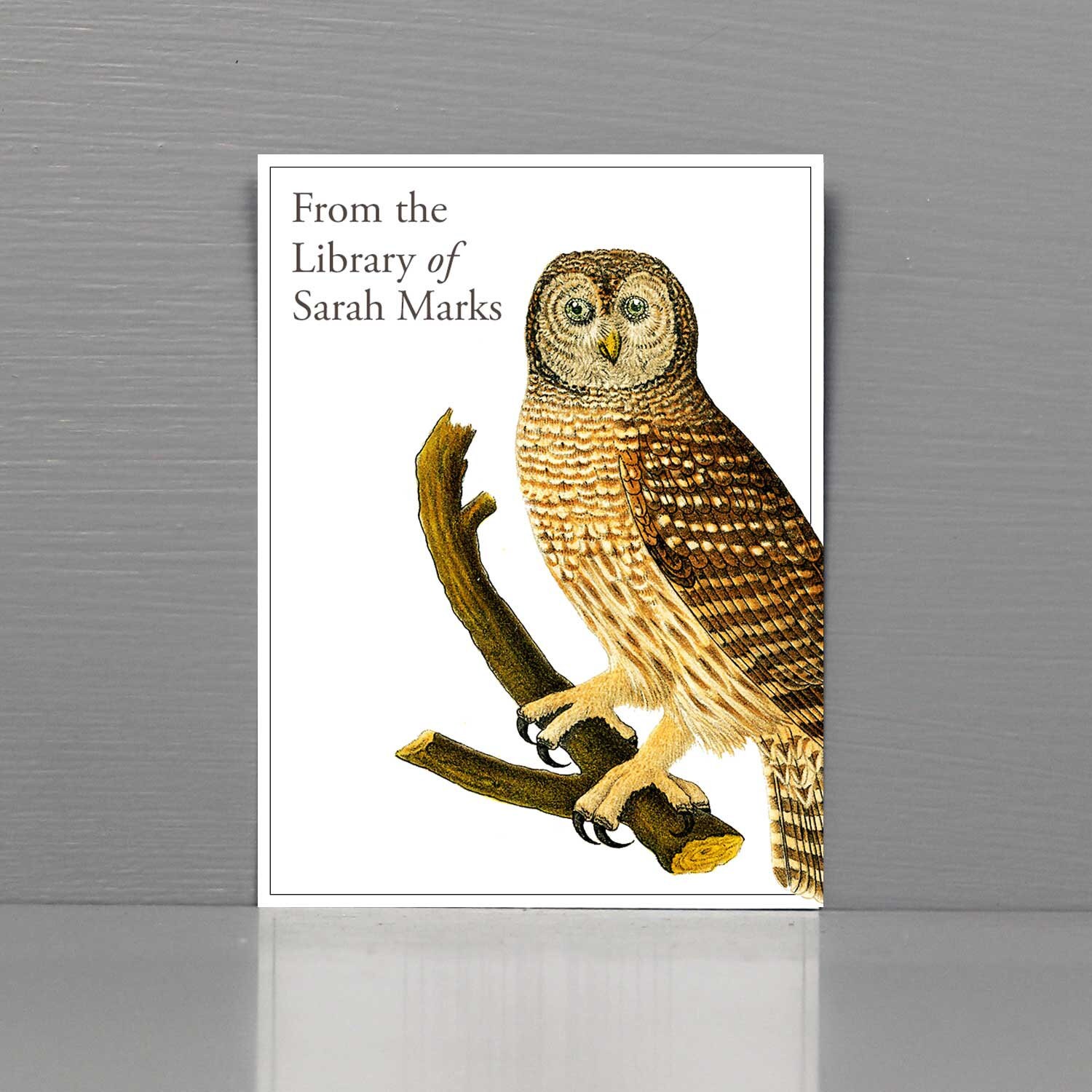 Personalized Bookplate with Owl Owl Gifts Etsy