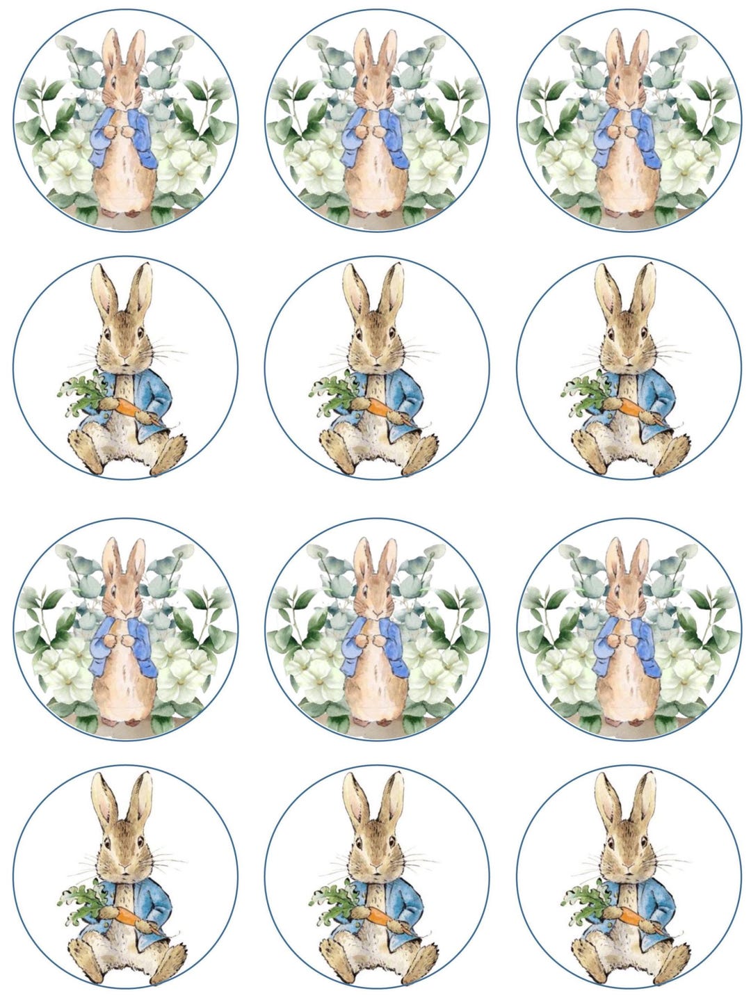 Peter Rabbit Pre Cut Edible Cake Toppers X 12 - Etsy