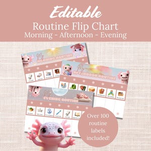 Può includere: Un grafico di routine rosa e bianco con il testo "Editable Routine Flip Chart Morning - Afternoon - Evening". Il grafico include illustrazioni e il testo "Over 100 routine labels included!"
