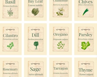 Printable Kitchen Herbs Labels -12 Vintage Apothecary Jar Labels - Digital Download
