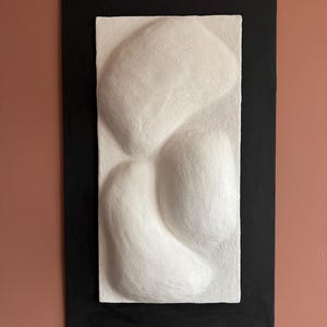 以下が含まれることがあります： 白くテクスチャ加工された抽象的な壁の芸術作品で、丸みを帯びた形をしており、黒い長方形のフレームに収められています。作品はくすんだ赤茶色の壁に取り付けられており、色とテクスチャのコントラストを生み出しています。モダンなインテリアアイテム。
