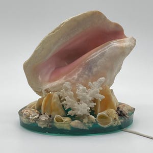 May include: A large conch shell lamp with a smooth, pale pink interior and a textured, off-white exterior. The shell is mounted on a circular, translucent teal resin base decorated with smaller seashells and a piece of white branching coral.