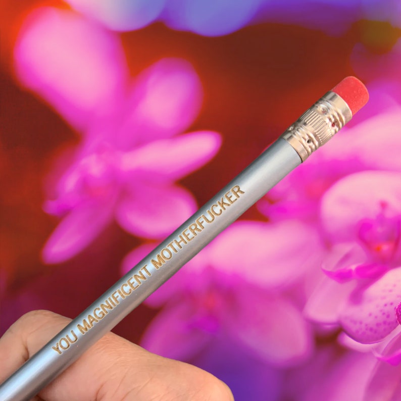 You magnificent motherfvcker pencils in SILVER. BFF pencils. MATURE profanity. grad week gifts. image 2