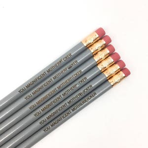 You magnificent motherfvcker pencils in SILVER. BFF pencils. MATURE profanity. grad week gifts. image 3