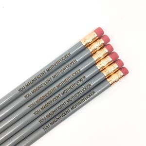 You magnificent motherfvcker pencils in SILVER. BFF pencils. MATURE profanity. grad week gifts. image 6