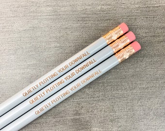 quietly plotting your downfall funny engraved pencils 3 in SILVER . for plan writing and missive scribbling. round pencils