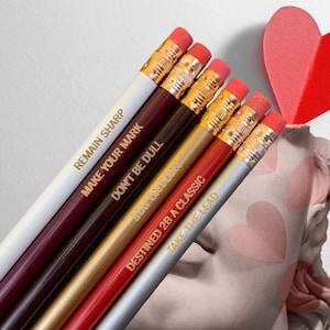 pencil pun pencil set, 6 pencils. multicolor, multi quote. #2 lead.