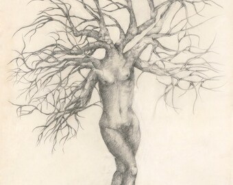 Woman in Tree -" Life Journey" ( my soul spoke to me)