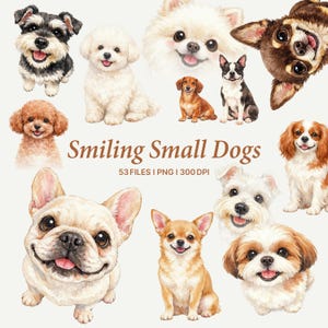 May include: Watercolor illustrations of various small dog breeds, including a Schnauzer, Bichon Frise, Pomeranian, Dachshund, Boston Terrier, Poodle, Cavalier King Charles Spaniel, French Bulldog, Chihuahua, and Shih Tzu. The text "Smiling Small Dogs" is displayed.