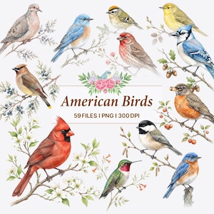 Op de afbeelding: Een digitale collectie aquarelillustraties met diverse Amerikaanse vogels op takken met bloemen en bessen. De centrale tekst luidt American Birds, 59 FILES I PNG I 300 DPI, omringd door onder andere een kardinaal en een blauwe gaai.