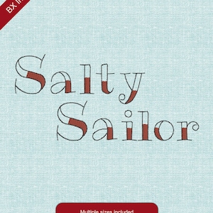 May include: An embroidered design with the words "Salty Sailor" in a decorative font, with red accents. The design is on a light blue textured background. The words "BX Included" are in the upper left corner.