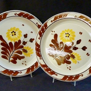 May include: Two white ceramic dinner plates with brown and yellow floral designs. The plates have a brown rim and a white center with a stylized floral pattern in shades of brown and yellow.