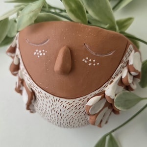 May include: A terracotta-colored ceramic planter shaped like an owl with closed eyes, a central beak, and white painted details on the face and wings. The body features textured white markings, and the planter holds a green leafy plant.