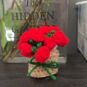 May include: A handmade crochet bouquet of red flowers in a small, tan-colored pot. The flowers are clustered together, with green yarn used for the stems and a decorative bow around the pot. The background includes a glass vase with greenery and the text "The HIDDEN GARDEN".