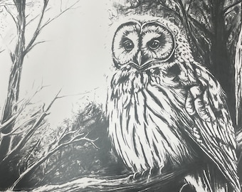 NightOwl | print 11x17