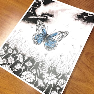 May include: A rectangular art print featuring a black and white ink illustration of a field of daisies under a dark, cloudy sky. A single butterfly with vibrant blue wings is positioned in the center, flying above the flowers.