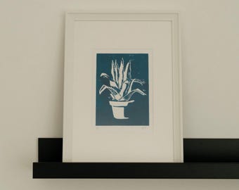 Botanisch minimalisme: linoleumsnede van Sansevieria trifasciata.