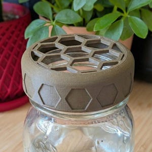 Może przedstawiać: Przezroczysty szklany słoik wypełniony wodą, zwieńczony brązową pokrywką z wzorem plastra miodu. Pokrywka ma szereg sześciokątnych otworów. Słoik stoi na drewnianej powierzchni, z zielonymi roślinami w tle.
