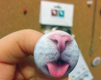 Featured image of post Cute:h6Hghydtyfy= Button Nose