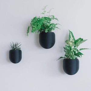 Peut inclure: Trois jardinières murales noires avec des plantes vertes. Les jardinières sont de forme ovale et ont une finition mate. Les plantes comprennent une succulente, une fougère et une plante à feuilles avec des panachures blanches. Les jardinières sont montées sur un mur blanc.