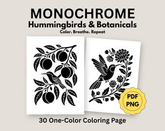 Monochroom kleurboek kolibrie, botanische illustraties, eenvoudige kleurplaten voor volwassenen (30 pdf, png)