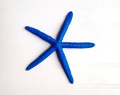Ocean blue 6" starfish wall decor beach nautical coastal preppy nursery summer boat ocean surf sea glass ship UF gators broncos royal