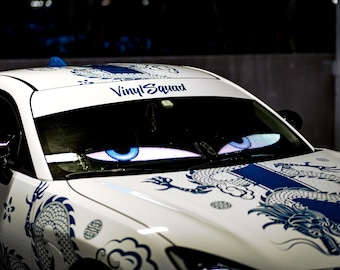 LED EYES as seen in the movie Cars 2 pc 23x4.75 inch panels