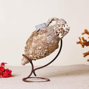 Può includere: Un'anfora in ceramica in stile antico con una superficie ruvida e usurata, caratterizzata da cirripedi e piccoli accenti di corallo bianco. Il vaso è montato su un supporto in metallo marrone scuro curvo e presenta una piccola etichetta.