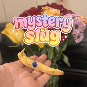May include: A yellow, banana-shaped ornament with a blue gem, held in a hand. The item has dark spots. The text "mystery slug" is displayed in a colourful, bubble-style font above the item. A bouquet of flowers is in the background.