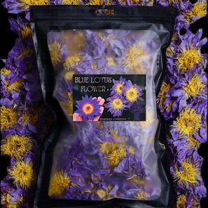 Blue Lotus Flower – Organic Egyptian Nymphaea Caerulea | Hand-Picked, Dried Flower