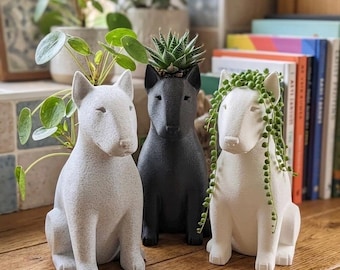 Vaso minimalista para plantas com estampa de Bull Terrier