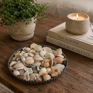 Authentic Seashell Collection in Vintage Scalloped Metal Tray | Coastal Coffee Table Decor | Beach Cottage Shell Display