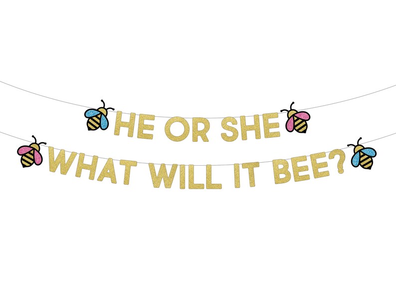 Boy Or Girl Banner What Will It Bee Banner Gender Reveal Banner Gender Reveal Party Bee Theme Baby Shower What Will It Be