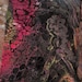 Owner of <a href='https://www.etsy.com/sg-en/shop/BekahElderPaints?ref=l2-about-shopname&from_page=listing' class='wt-text-link'>BekahElderPaints</a>