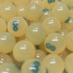 Könnte beinhalten: Eine Ansammlung von glatten, kugelförmigen, blassgelben Perlen. Jede Perle hat eine durchscheinende, glänzende Oberfläche und weist eine kleine, deutliche, blaugrüne kreisförmige Markierung oder einen Punkt in der Mitte der Kugel auf.