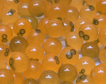 8:mm green eyed crouching tiger  (ghosted balut series)