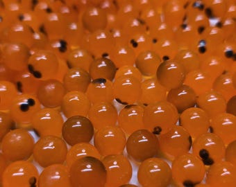 8:mm blood orange (blackened balut series)