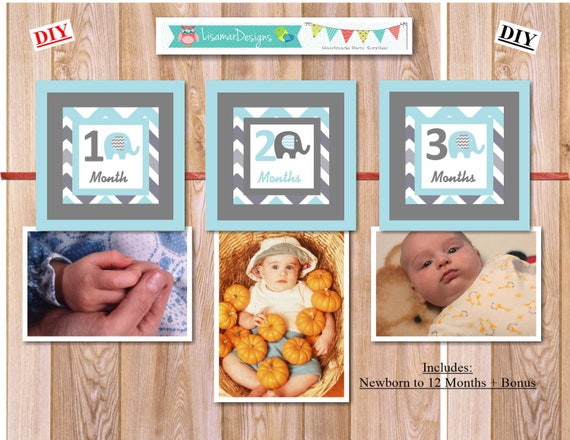 First Year Photo Banner, First Year Banner, Elephant Theme, Instant Download, Printable, DIY, Extra BONUS, Free Shipping, c-1238 Il_570xn