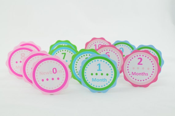 12 Month Photo Banner, 1st Year Photo Banner, Monthly Banner, Polka Birthday, Hot pink, Blue, Green and Light Pink, One color Dots, c-1026 Il_570xn
