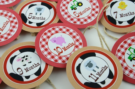 Farm 12 month Photo Banner, First Year Photo Clips, First Year Banner, Barnyard Theme, Farmyard Banner, Barnyard Photo clip, c-1341 Il_570xn