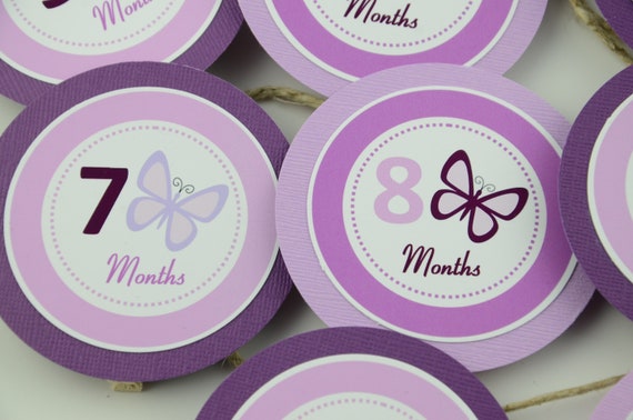 Butterfly 12 Month Banner, 1st Year Photo Banner, 1st Year Banner, Butterfly Birthday Banner, Light Purple & Dark Purple butterfly, c-1340 Il_570xn