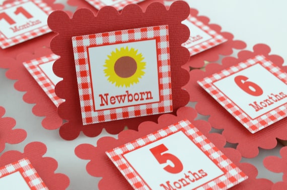 Sunflower 12 month Photo Banner, First Year Photo Clips, First Year Banner, Gingham Theme, c-1227 Il_570xn