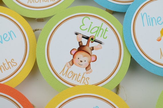 Jungle Birthday Photo Banner, 12 months Photo Banner, First Year Photo, First Year Banner, Girl or Boy Jungle Birthday Party, c-1350 Il_570xn