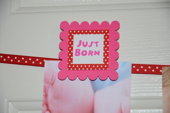 12 Month Photo Banner, First Year Photo Banner, 12 Month Banner, Hot Pink and Red Dots Theme, c-1069 Il_570xn