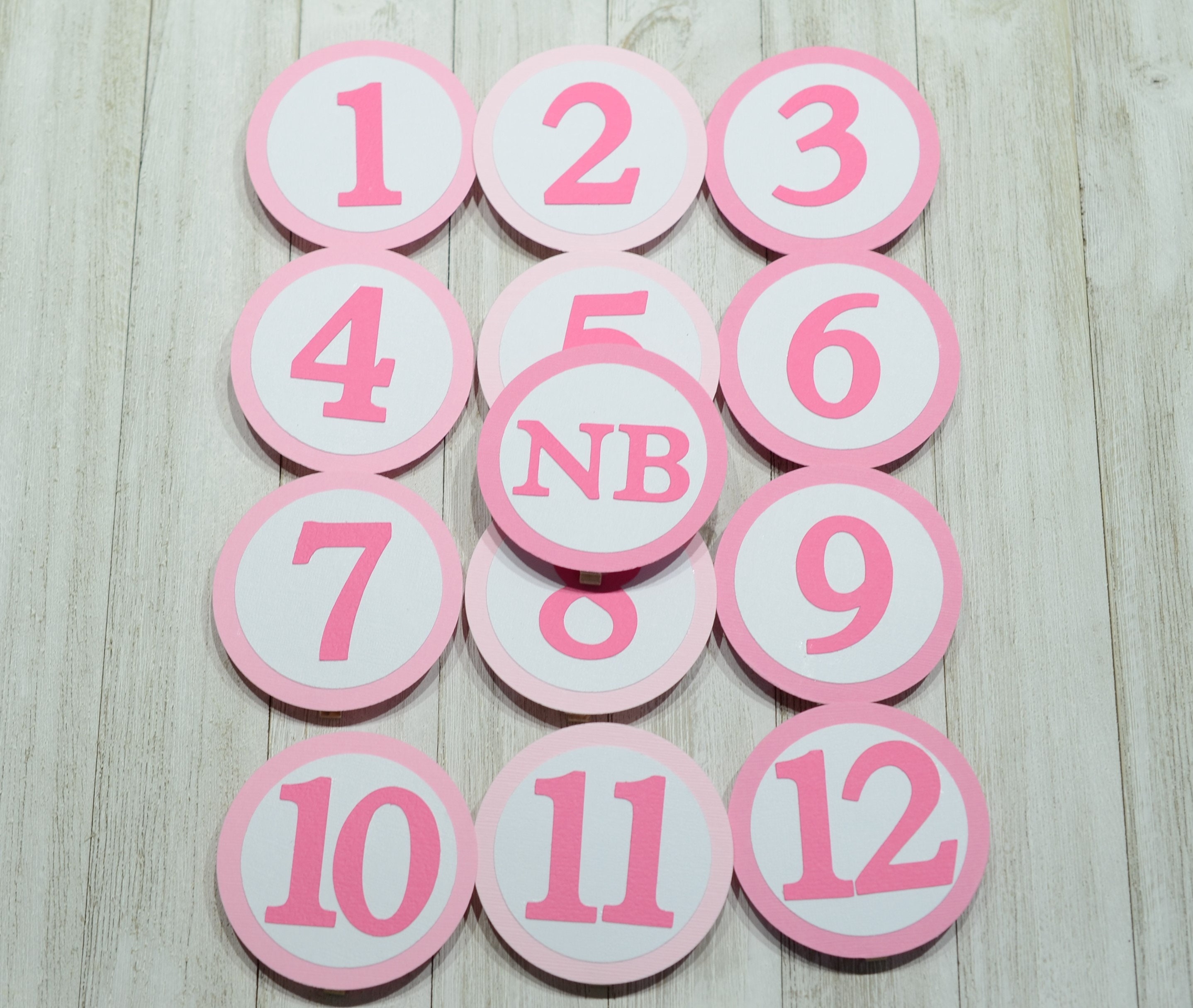 Pink Number Banner First Year Photo Banner in Pink Ombre – 12 Month Milestone Display - Etsy
